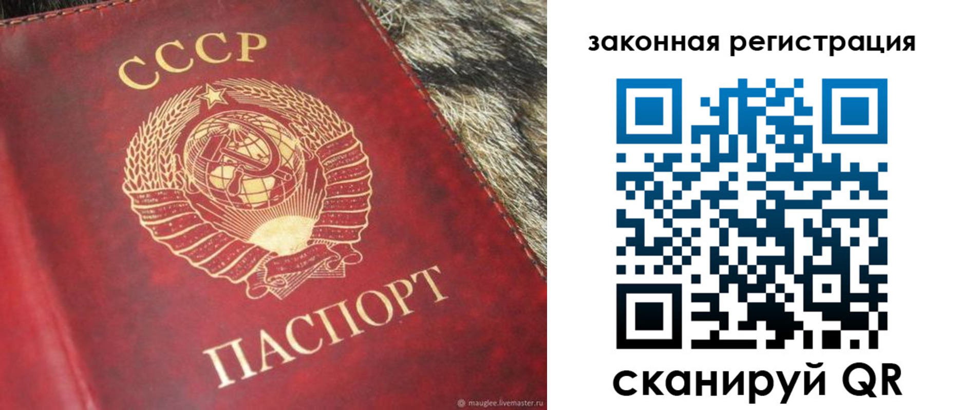 прописка от собственника в Боброве